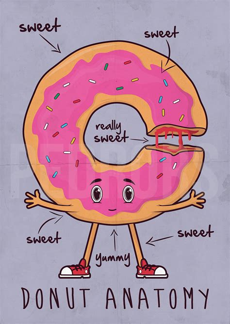donut anatomy